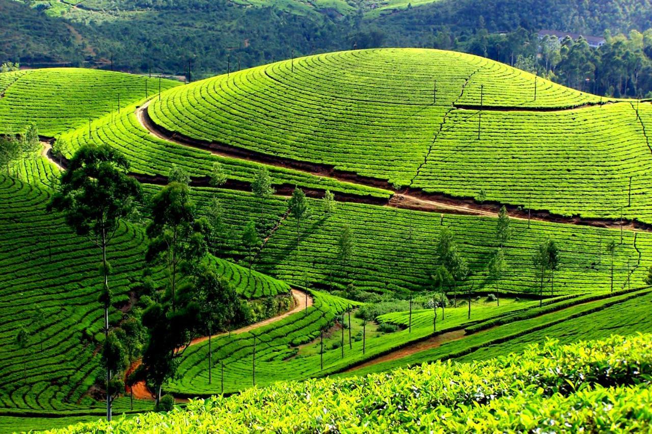 Апартаменти Mistica Munnar Anachal Екстер'єр фото