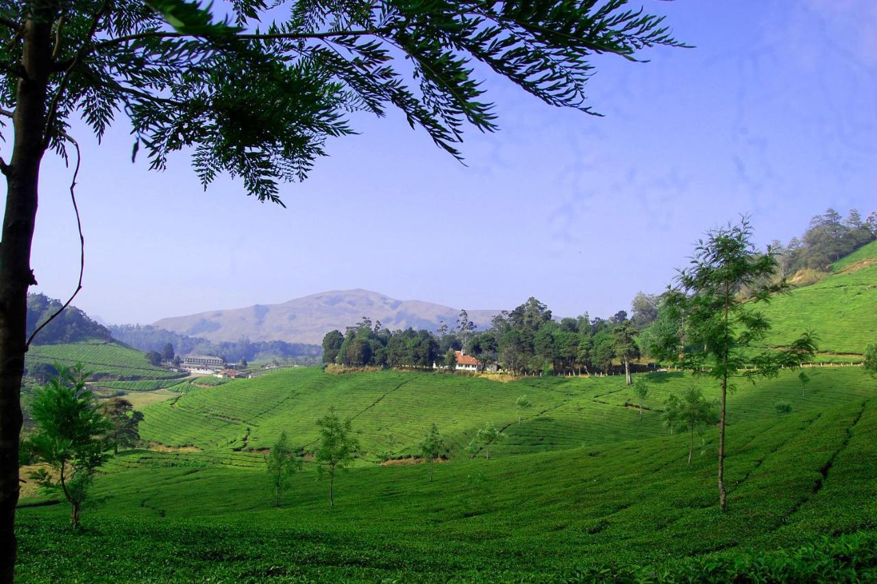 Апартаменти Mistica Munnar Anachal Екстер'єр фото