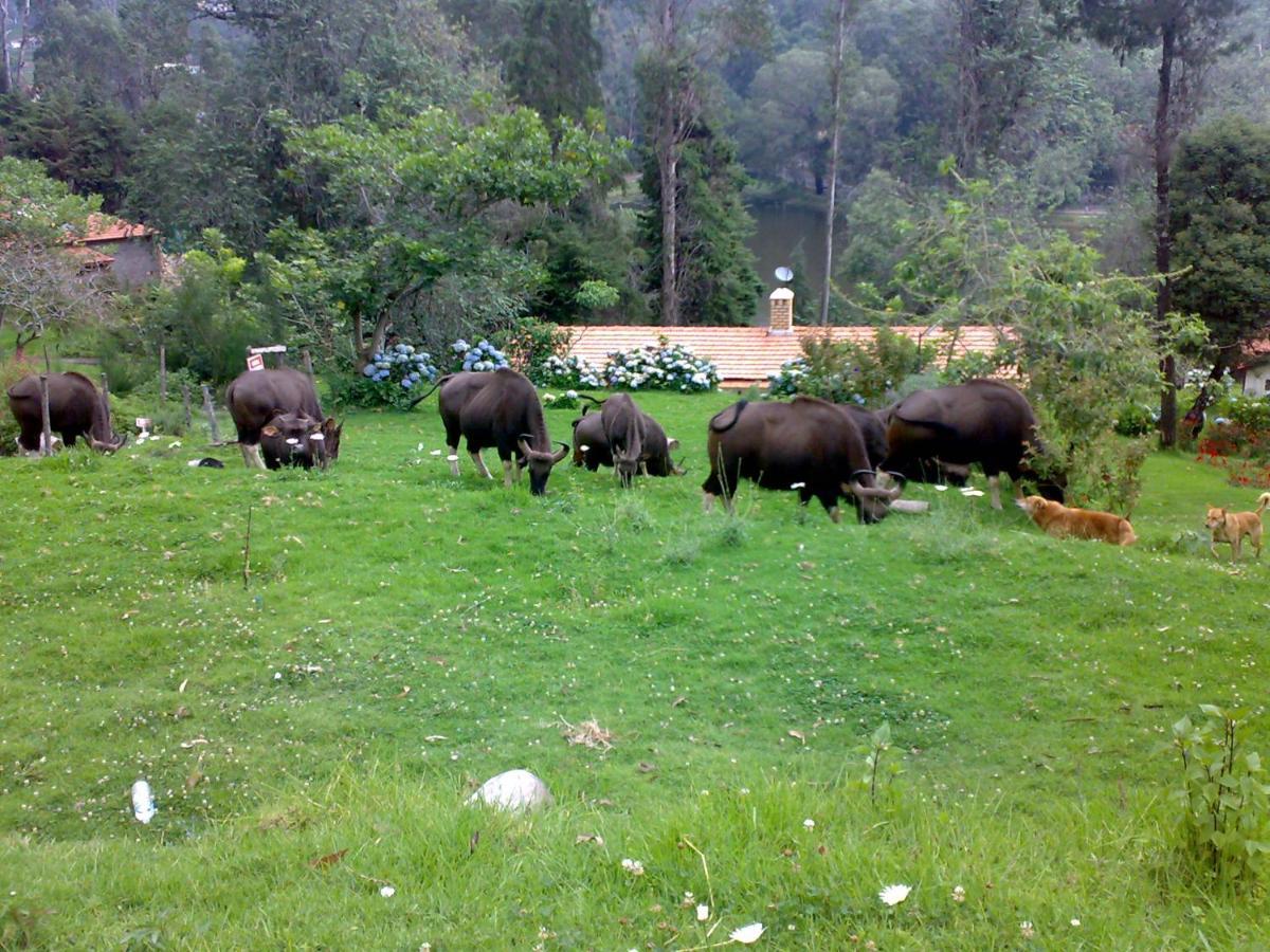 Апартаменти Mistica Munnar Anachal Екстер'єр фото