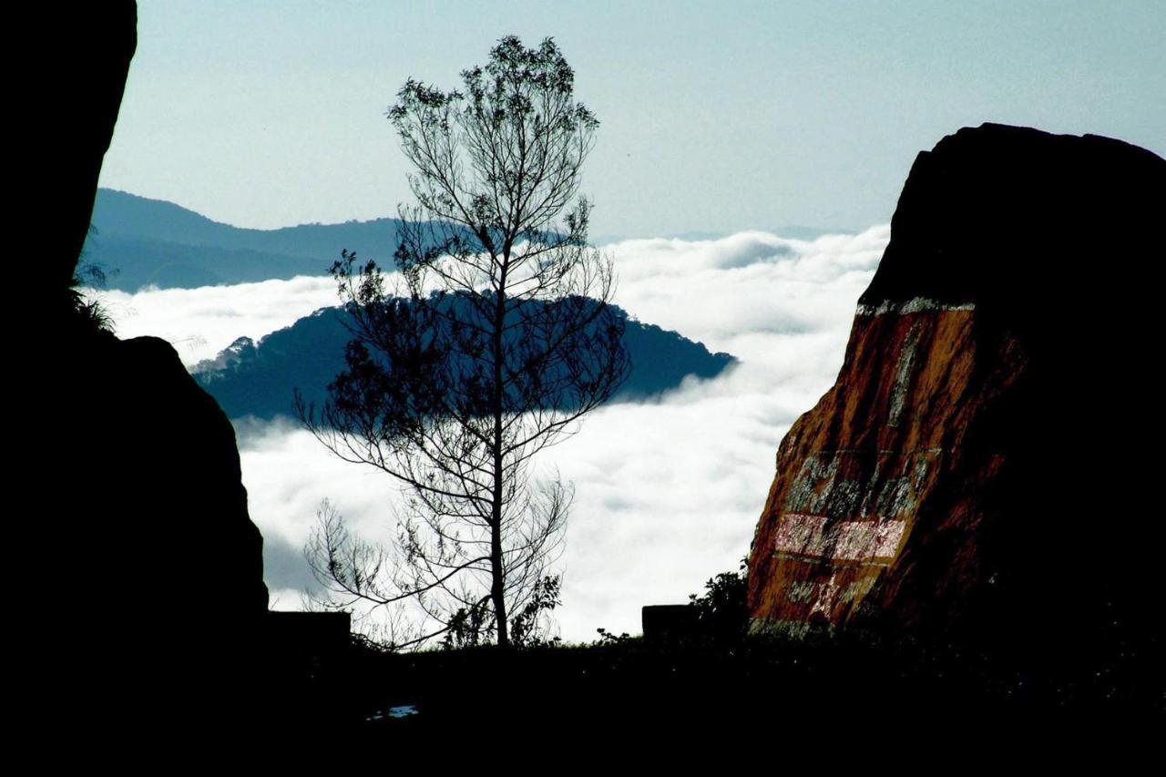 Апартаменти Mistica Munnar Anachal Екстер'єр фото