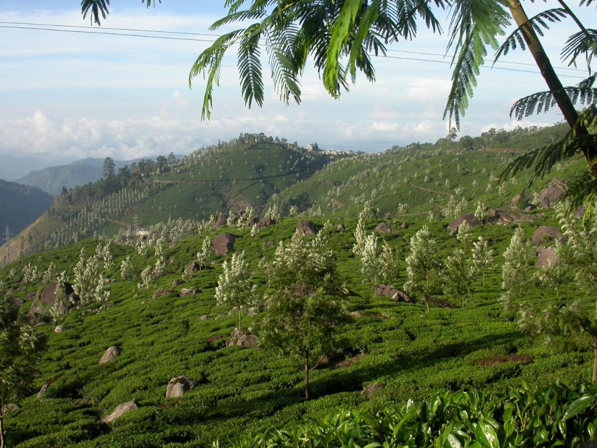 Апартаменти Mistica Munnar Anachal Екстер'єр фото
