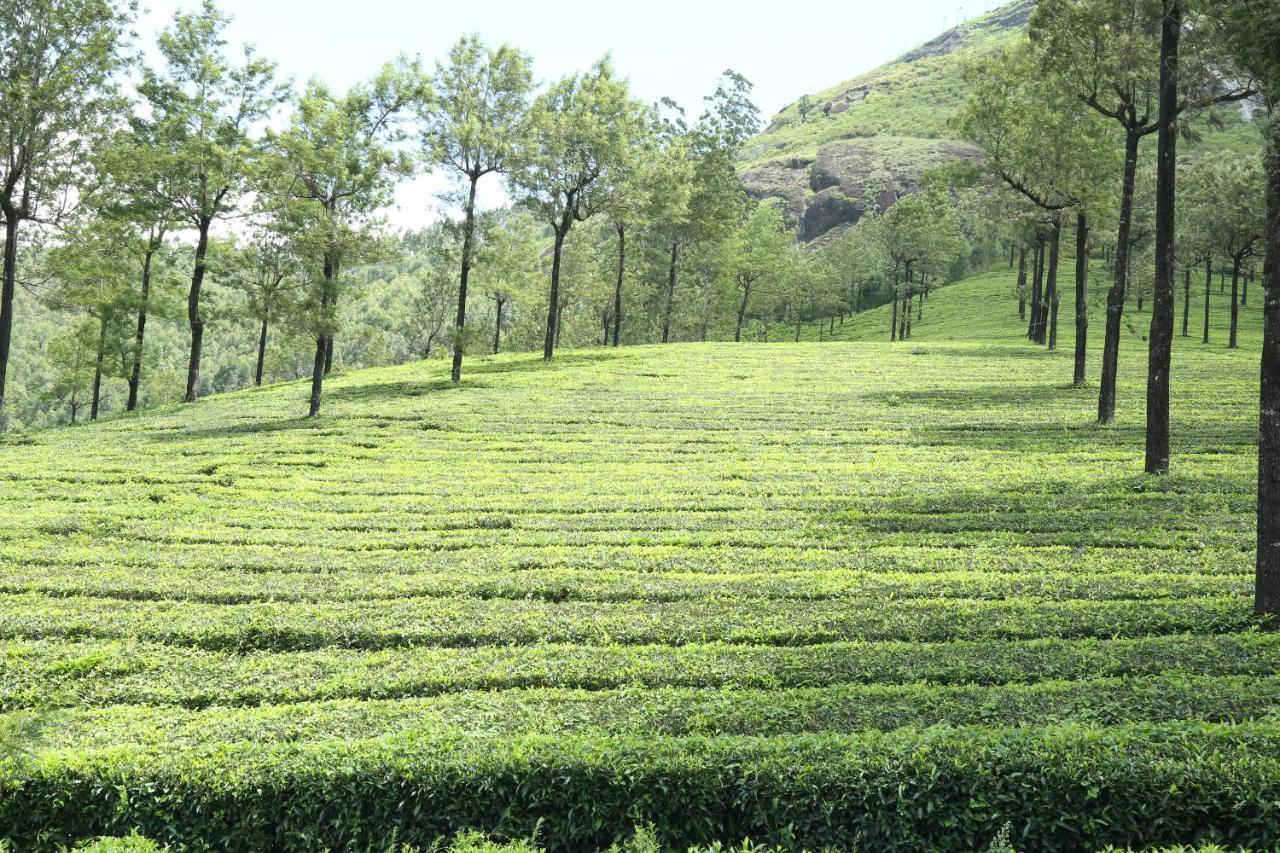 Апартаменти Mistica Munnar Anachal Екстер'єр фото
